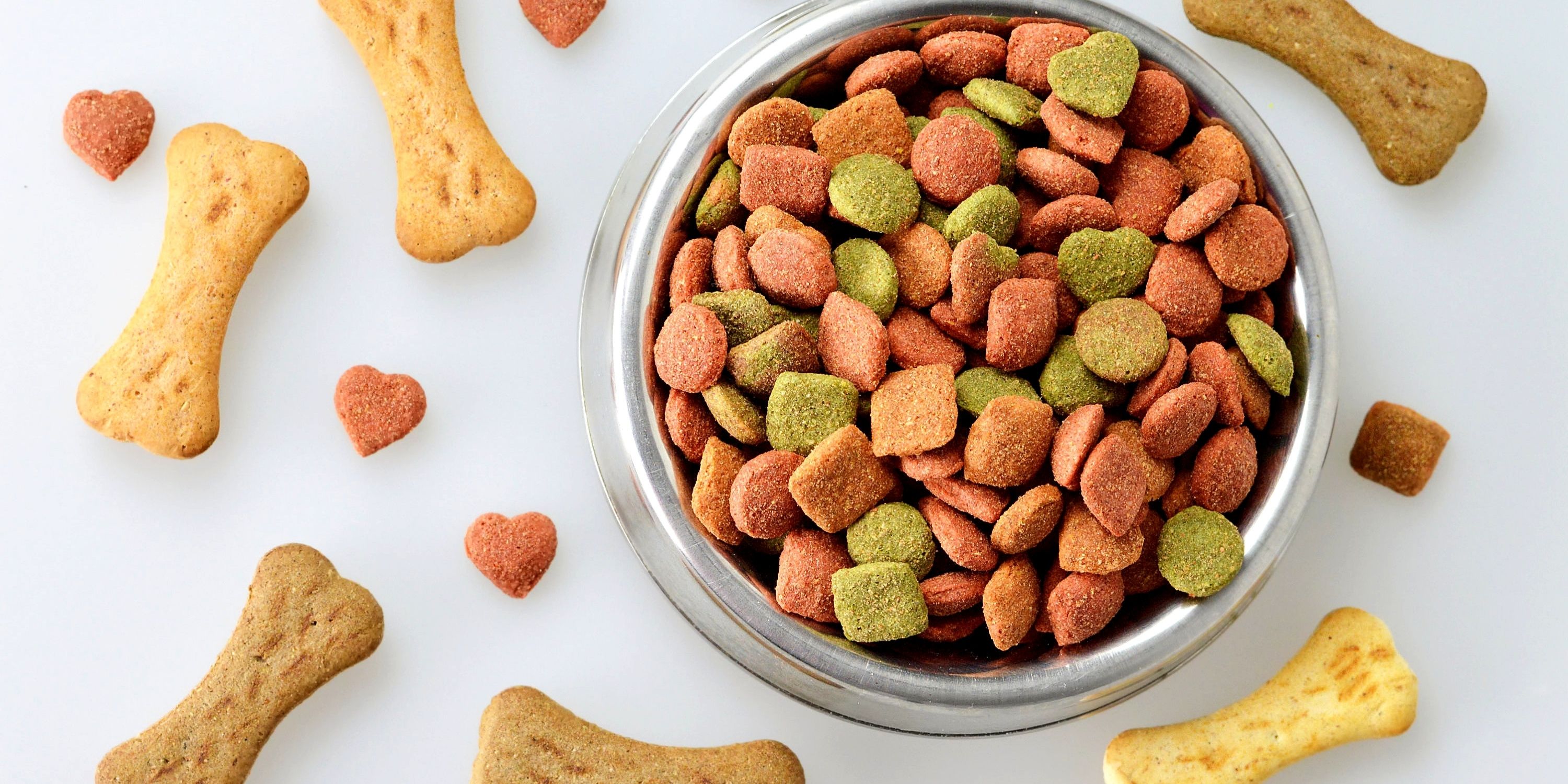 Comida para Perro 10 kg